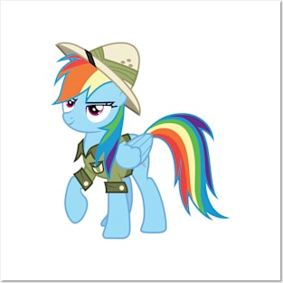 Adventurer Rainbow Dash Posters and Art